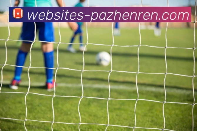 pa真人平台生态图