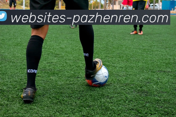 pa真人APP 封面图